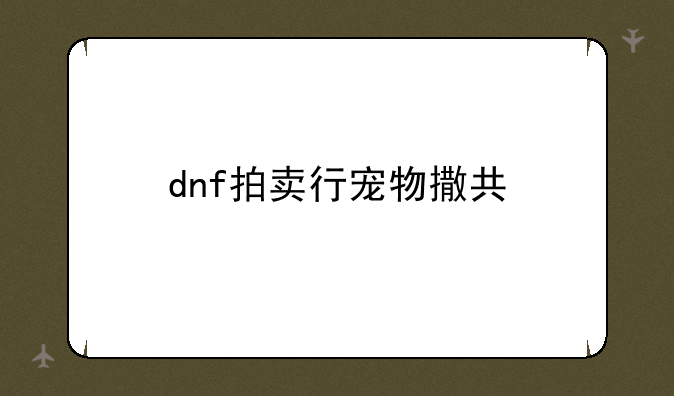 dnf拍卖行宠物撒共