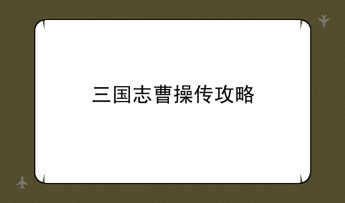三国志曹操传攻略