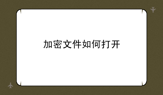加密文件如何打开