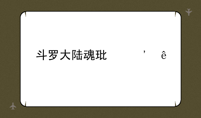斗罗大陆魂环等级