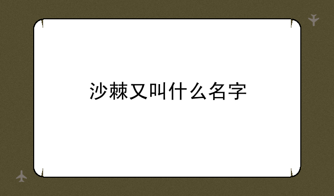沙棘又叫什么名字