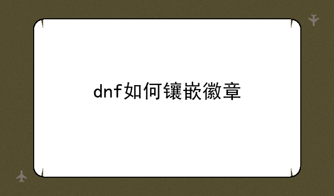 dnf如何镶嵌徽章
