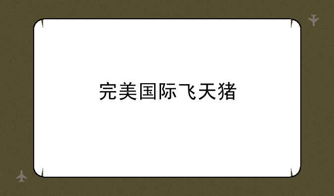 完美国际飞天猪
