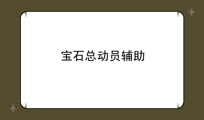 宝石总动员辅助
