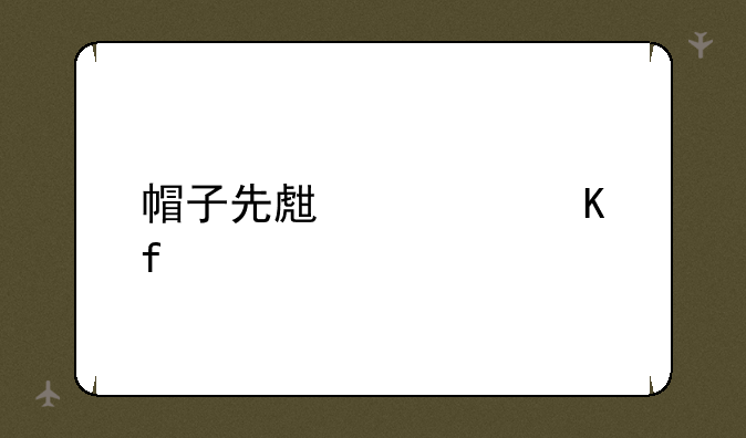 帽子先生大冒险