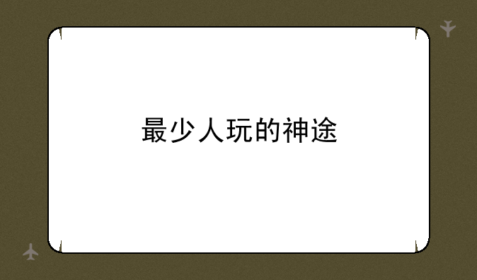 最少人玩的神途