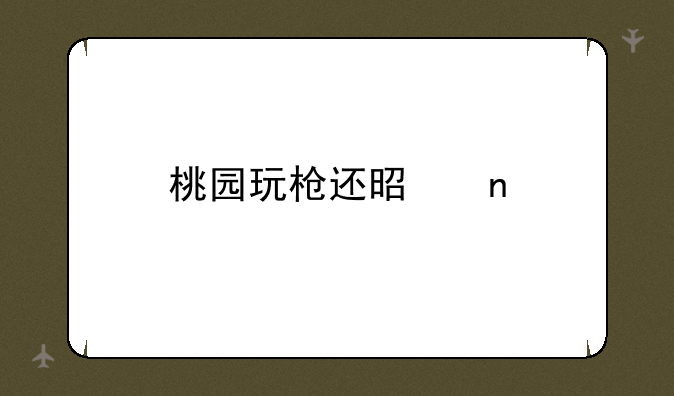 桃园玩枪还是盾