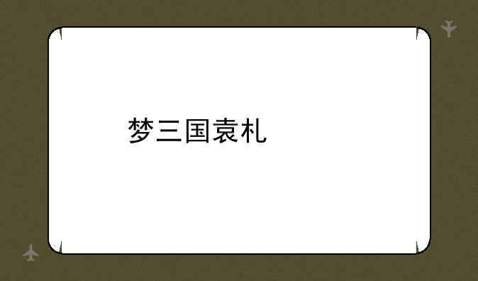 梦三国袁术出装