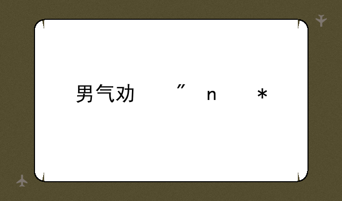 男气功刷图加点
