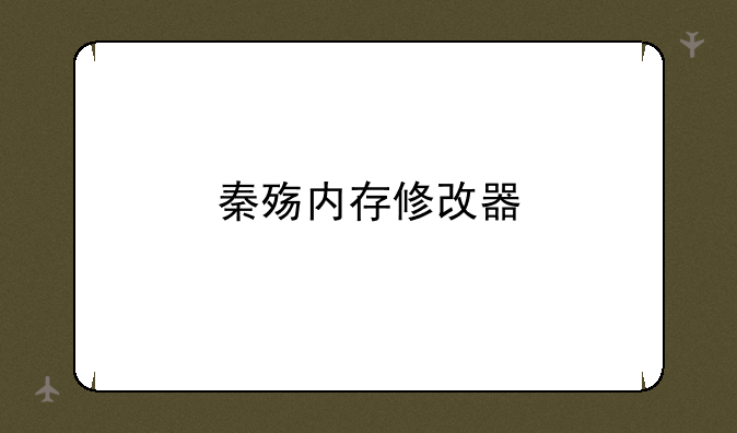秦殇内存修改器