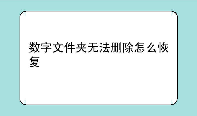 数字文件夹无法删除怎么恢复