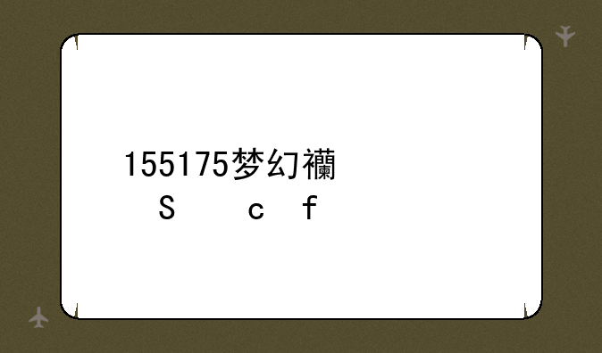 155175梦幻西游答题器