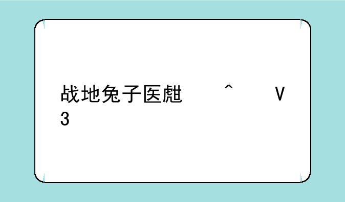 战地兔子医生无敌版