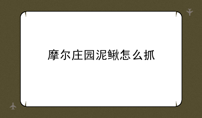 摩尔庄园泥鳅怎么抓