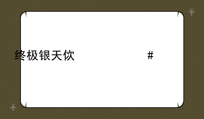 终极银天使什么档次