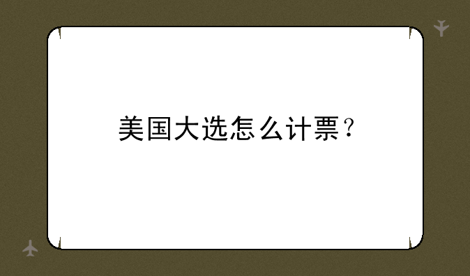 美国大选怎么计票？