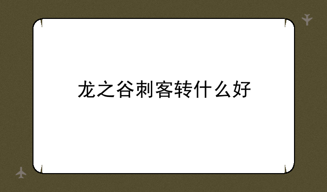 龙之谷刺客转什么好