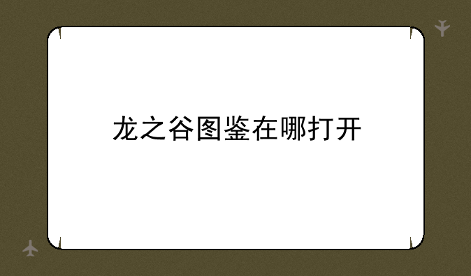 龙之谷图鉴在哪打开