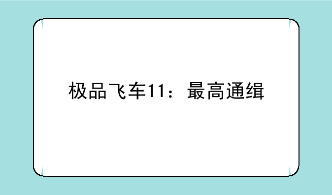 极品飞车11：最高通缉