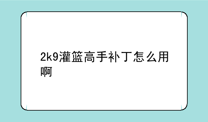 2k9灌篮高手补丁怎么用啊