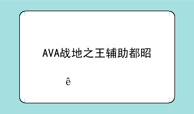 AVA战地之王辅助都是那些