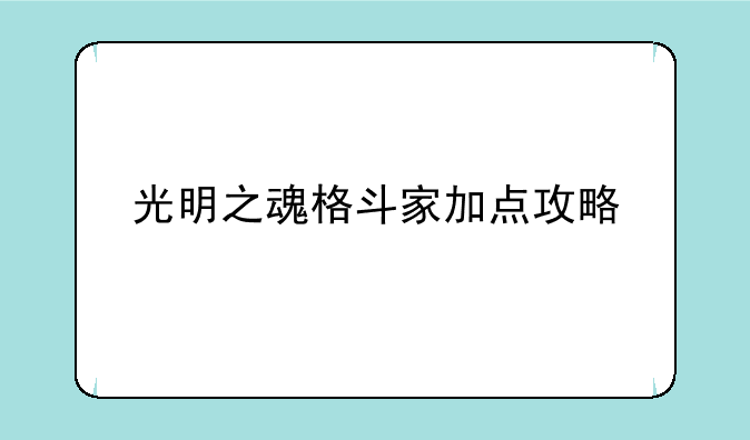 光明之魂格斗家加点攻略
