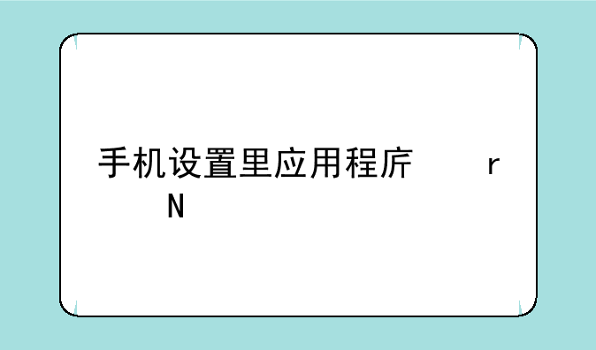 手机设置里应用程序在哪