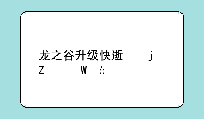 龙之谷升级快速的方法？