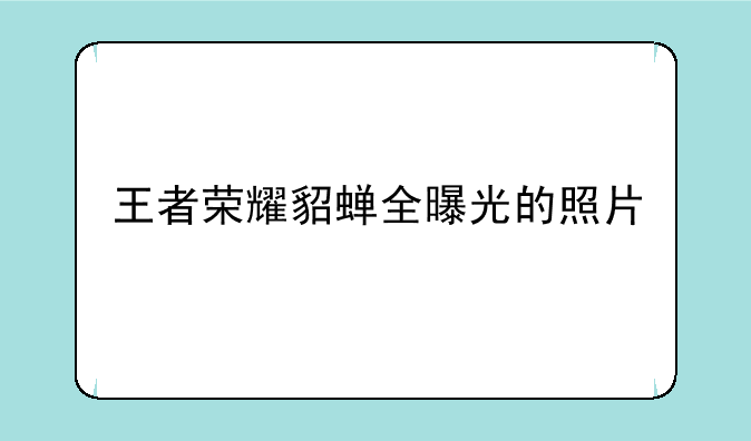 王者荣耀貂蝉全曝光的照片