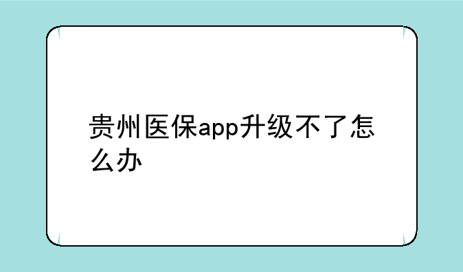 贵州医保app升级不了怎么办