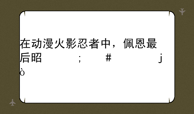 在动漫火影忍者中，佩恩最后是怎么死的？