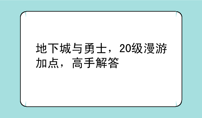 地下城与勇士，20级漫游加点，高手解答