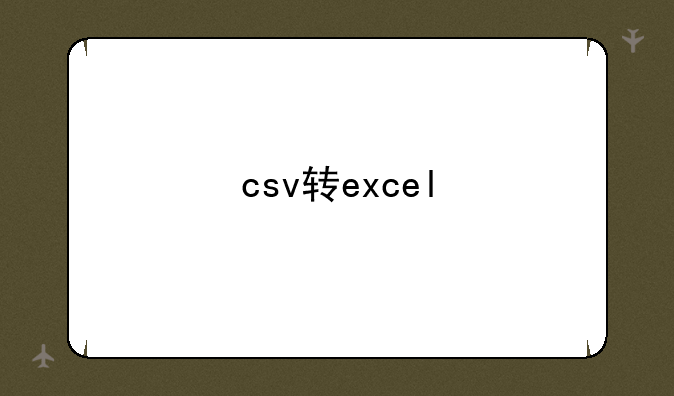 csv转excel
