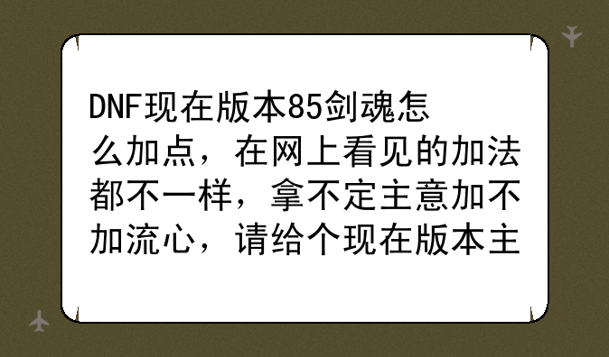 DNF现在版本85剑魂怎么加点，在网上看见的加法都不一样，拿不定主意加不加流心，请给个现在版本主流