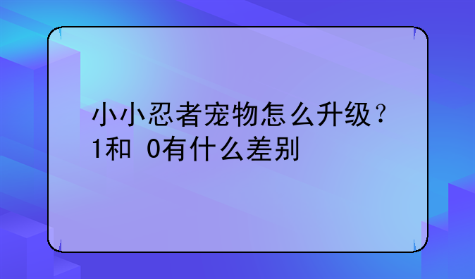 小小忍者宠物怎么升级？+1和+0有什么差别