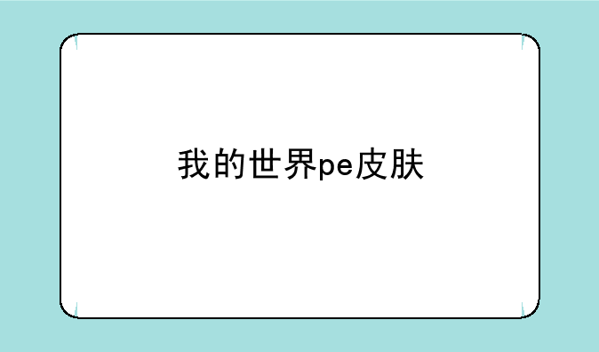 我的世界pe皮肤