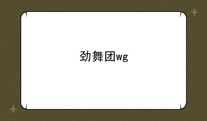 劲舞团wg