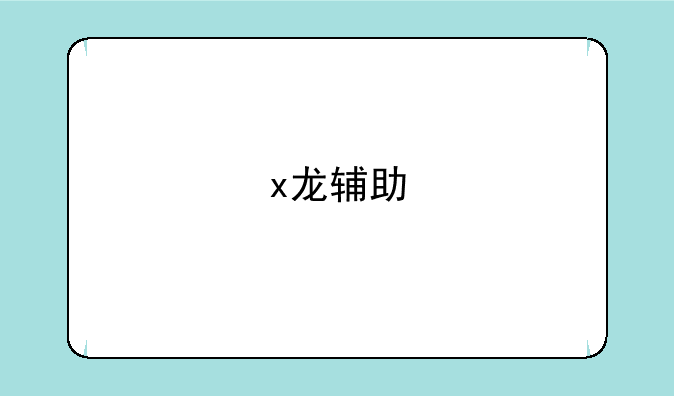 x龙辅助